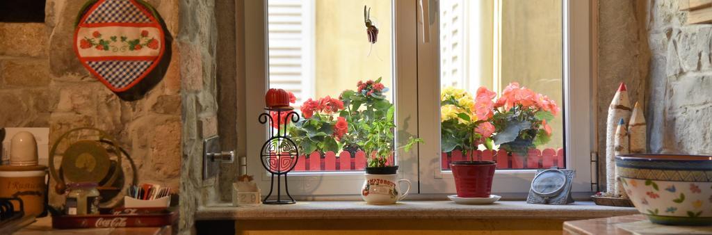 B&B Petra Trieste Luaran gambar
